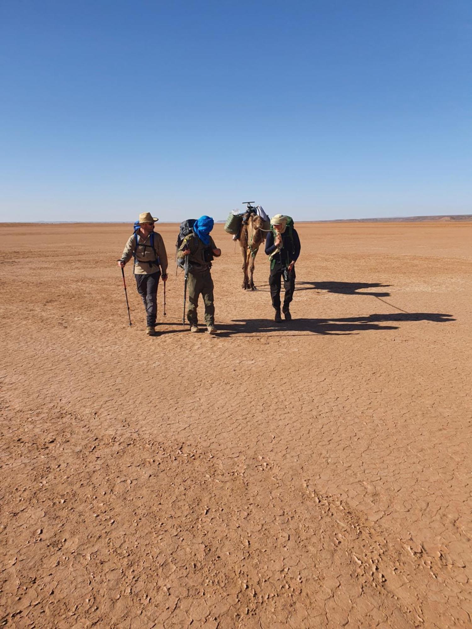 Hotel Bivouac Les Nomades & Foum Zguid To Chegaga Tours Exterior foto