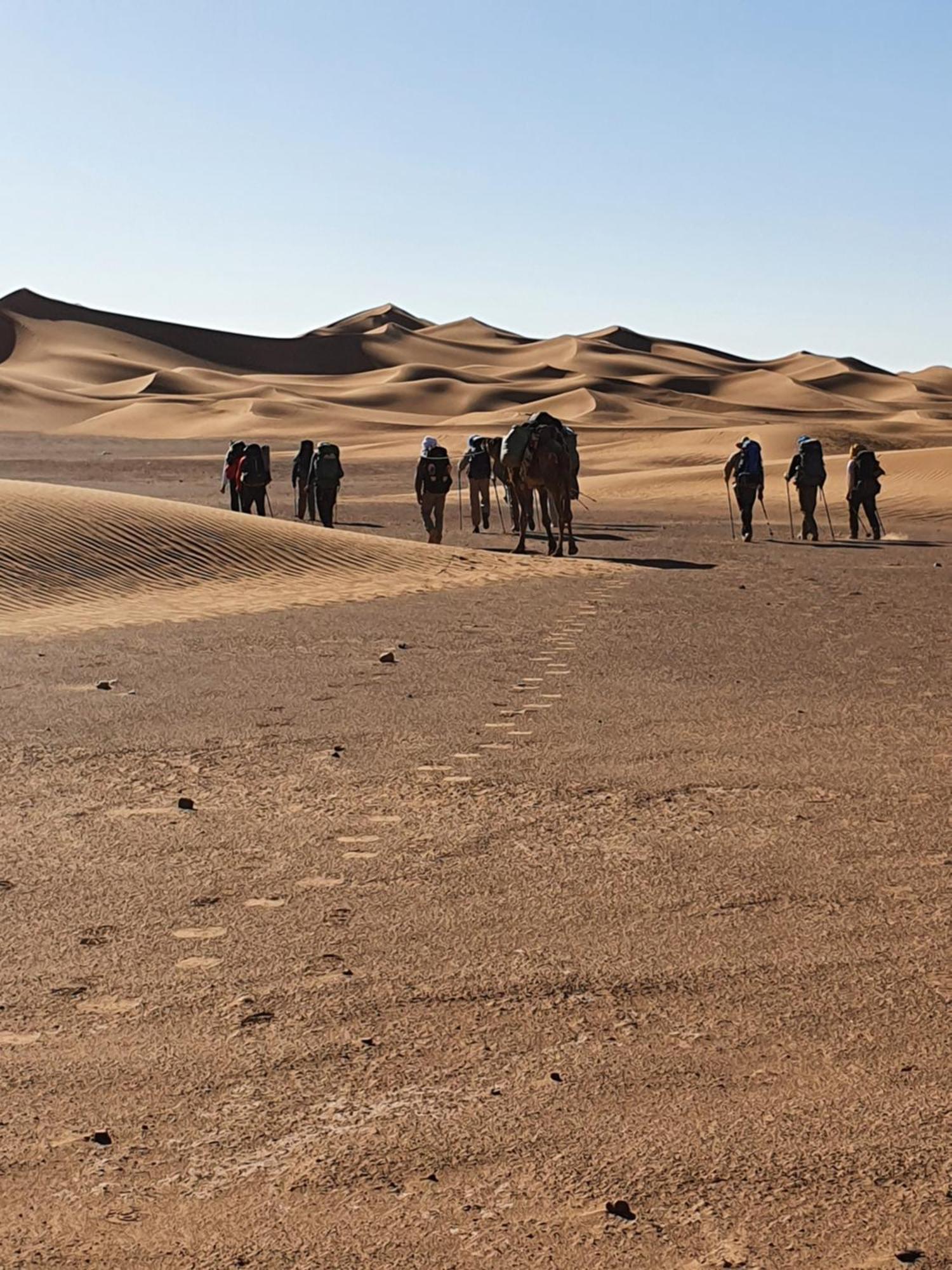 Hotel Bivouac Les Nomades & Foum Zguid To Chegaga Tours Exterior foto