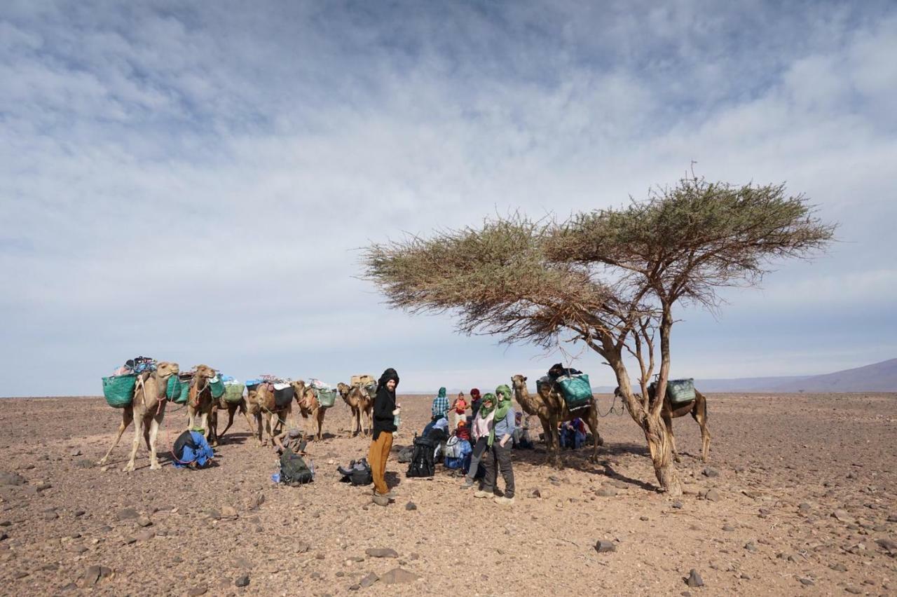 Hotel Bivouac Les Nomades & Foum Zguid To Chegaga Tours Exterior foto